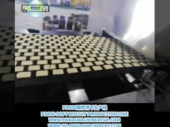 A'dan Z'ye Biskuit hattı Tam Otomatik Biskuit İşleme hattı 500kg/H Biskuit Yapma Ekipmanı