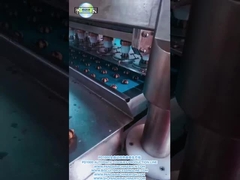 PD1000 Tamamen Otomatik Çift Renkli Kurabiye Üretim Liniyası