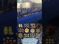 PD1200 ANIMAL ShapE HARD BISCOUT Üretim hattı
